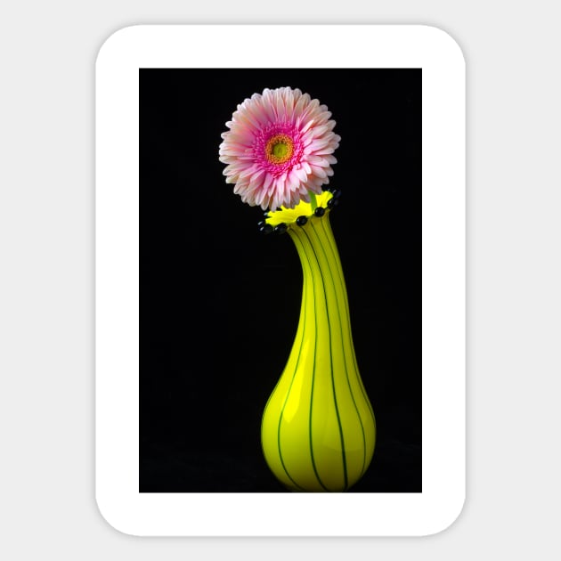Fancy Unique Yellow Vase With Pink Gerbera Sticker by photogarry